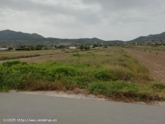 Parcela en Hondón de los Frailes - ALICANTE