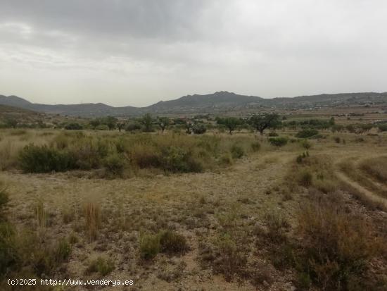 Terreno en Hondón de los Frailes - ALICANTE