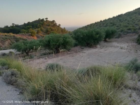 Finca rustica en Macisvenda - MURCIA