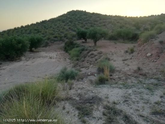 Finca rustica en Macisvenda - MURCIA