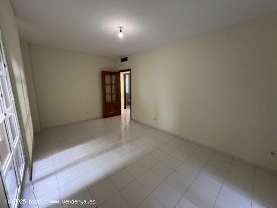 ALQUILER APARTAMENTO CENTRICO, SIN MUEBLES, 2 DORMITORIOS, BAÑO, ASEO - MURCIA