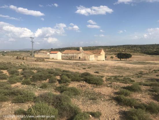 FINCA RUSTICA MUY CERCA DE CASCO URBANO - ALBACETE