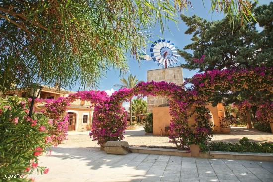 Hotel rural en venta en Colónia de sant Jordi - BALEARES