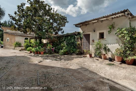 FINCA RÚSTICA CON LICENCIA DE ALQUILER VACACIONAL - SOLLER - BALEARES