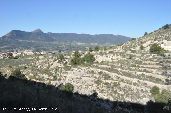 Terreno rural en venta en Tibi - ALICANTE