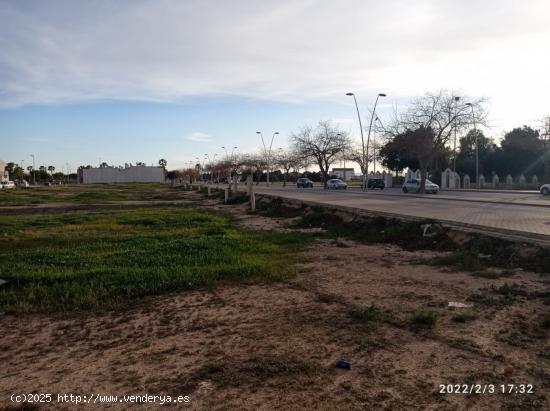 SOLAR EN TORRE PACHECO - MURCIA