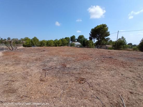 Estupenda finca rústica en Valle del Sol - MURCIA