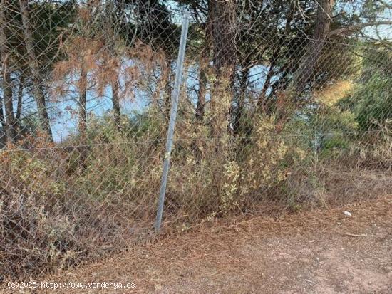 ZONA LAS JARAS. Parcela de terreno de 1154 m2 con punto de luz. - CORDOBA