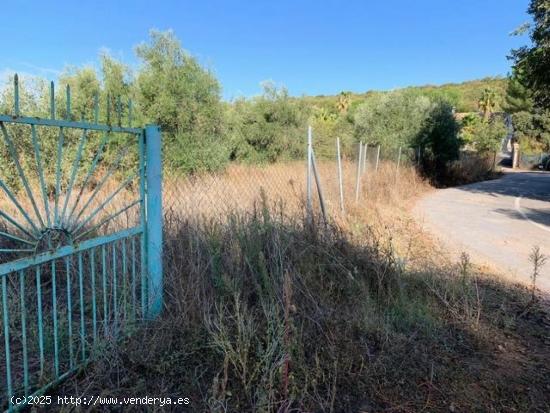 ZONA TRASSIERRA - Parcela de terreno de 3.000 m3 con luz, con cancela. - CORDOBA