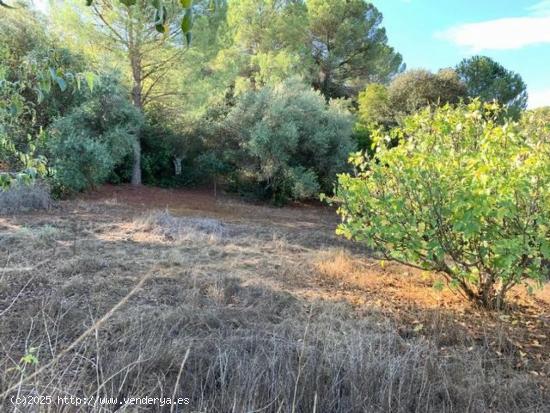 ZONA TRASSIERRA - Parcela de terreno de 3.000 m3 con luz, con cancela. - CORDOBA