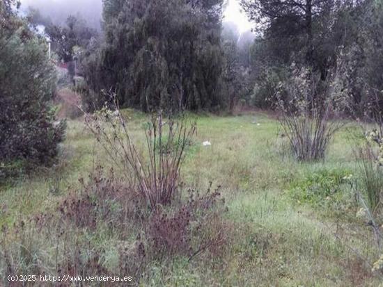 TERRENO URBANO EN LAS JARAS - CORDOBA