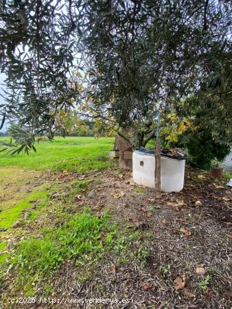 ZONA LA GORGOJA - Parcela de terreno de 4000m2. - CORDOBA