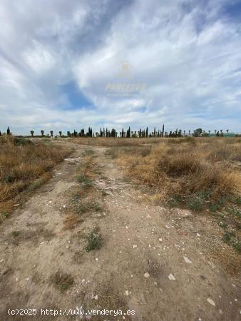 ZONA LA BARQUERA - Parcela de 16.000 m2 con escrituras, con posibilidad de dividir en 2. - CORDOBA