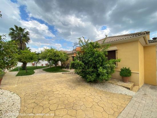 ZONA INJERTAL DE LAS CUEVAS- Parcela con gran casa y piscina. - CORDOBA