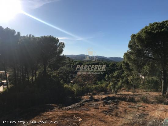 ZONA TORRE HORIA-TRASSIERRA -Parcela de terreno con pozo comunitario, piscina y remolque tienda. - C