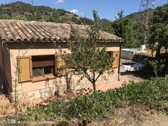  FINCA RÚSTICA CON CASA EN PERFECTO ESTADO, CERCA DE LA POBLACIÓN. ELECTRICIDAD, POZO Y BALSA. - TA 