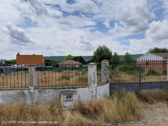 PARCELA RÚSTICA EN VENTA EN TRASPINEDO - VALLADOLID