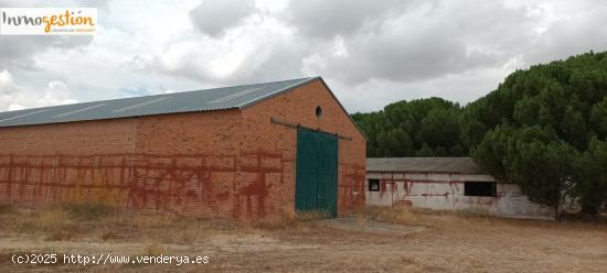 SE VENDE TERRENO CON NAVE EN SARDÓN DE DUERO (VALLADOLID) - VALLADOLID