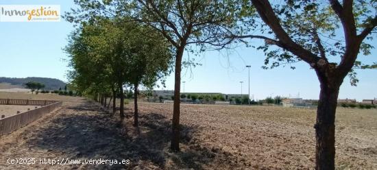 VENTA DE PARCELAS EN MOJADOS (VALLADOLID) - VALLADOLID