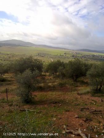 Finca rústica en Cáceres - CACERES