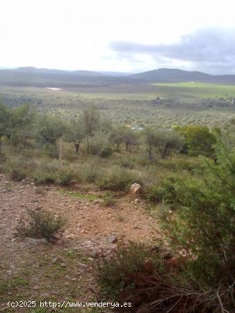 Finca rústica en Cáceres - CACERES