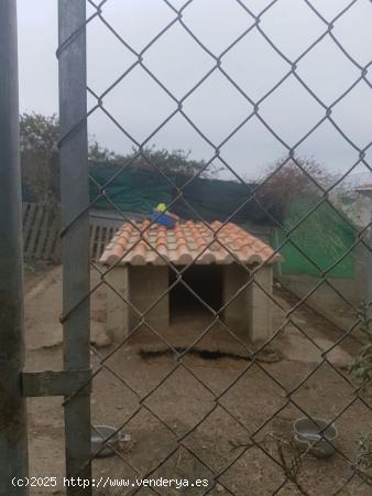 Se Vende en Caceres - CACERES