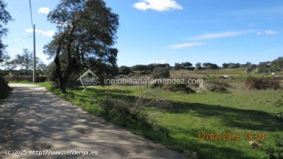 Se vende Parcela en Arroyo de la Luz - CACERES