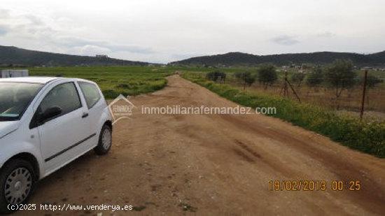 Parcela de 2000 m2 en Sierra de Fuentes - CACERES