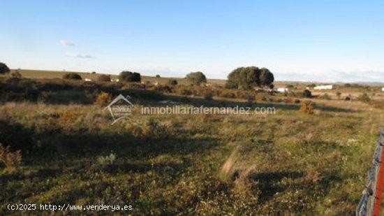 Se vende Finca en la Carretera de Badajoz - CACERES