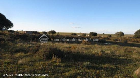 Se vende Finca en la Carretera de Badajoz - CACERES