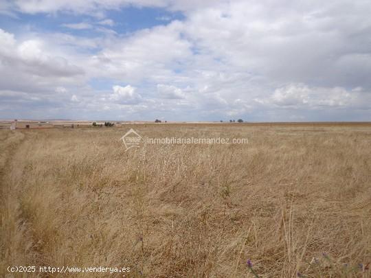 Se vende parcela en Cordel de Merinas - CACERES