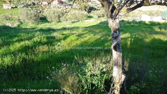 Parcela a 500 metros de Sierra de Fuentes - CACERES