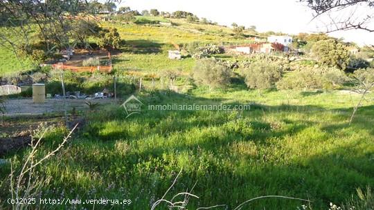 Parcela a 500 metros de Sierra de Fuentes - CACERES