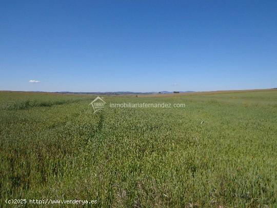  Se Vende en Sierra de Fuentes - CACERES 