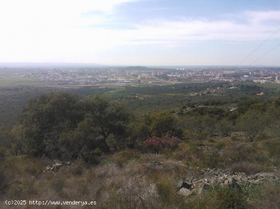 Parcela en la montaña - CACERES