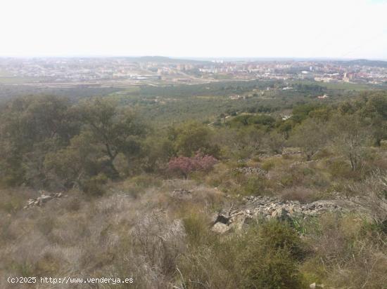 Parcela en la montaña - CACERES