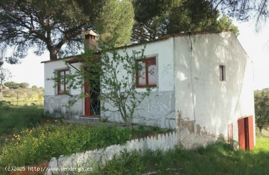 PARCELA DE RECREO CON Casa en Garrovillas - CACERES