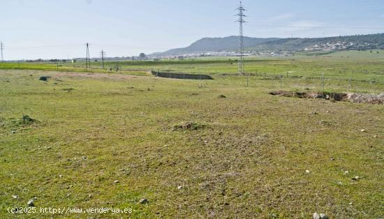 PARCELA 30.000 m2 EN SIERRA DE FUENTES - CACERES