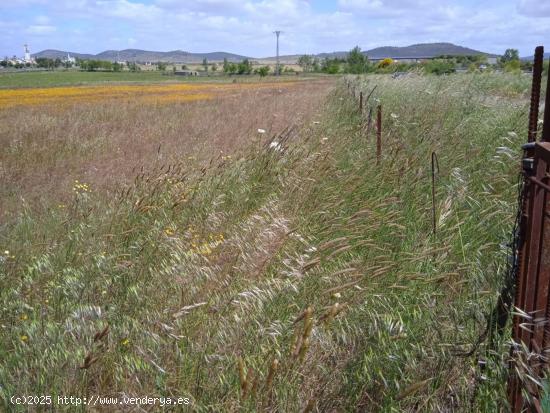 Parcela 20.000 m2 con 20 m2 de construcción con charca en Valdesalor - CACERES