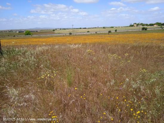 Parcela 20.000 m2 con 20 m2 de construcción con charca en Valdesalor - CACERES