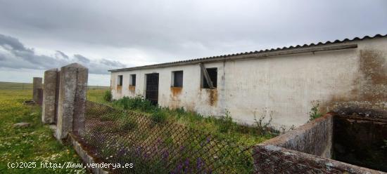 Gran terreno con construcción - CACERES