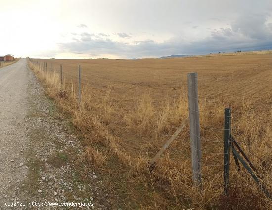 Parcela grande y llana en Sierra de Fuentes - CACERES