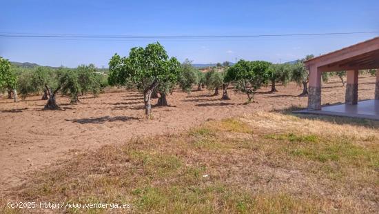 Parcela de 1 hectarea con chalet nuevo de 150 m2 en Arroyomolinos - CACERES