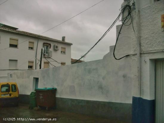 ¡Gran oportunidad de terreno urbano en Cañaveral! - CACERES