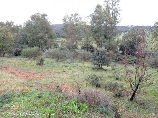 Bonita parcela en Cerro Arropéz 3.400 m2 - CACERES