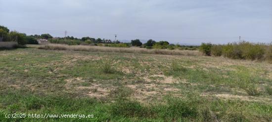 TERRENO RURAL EN VALVERDE - ALICANTE