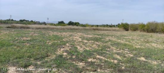 TERRENO RURAL EN VALVERDE - ALICANTE