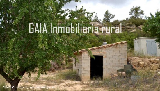 Finca en venta en Batea (Tarragona)