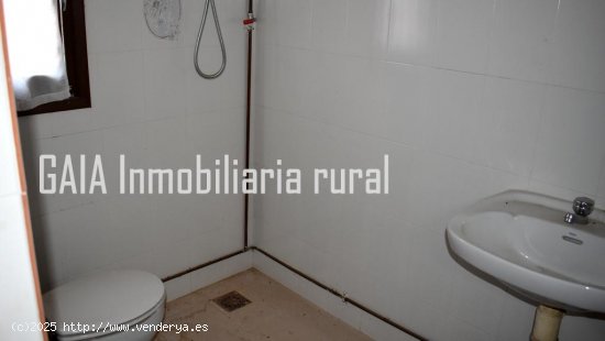 Finca en venta en Maella (Zaragoza)