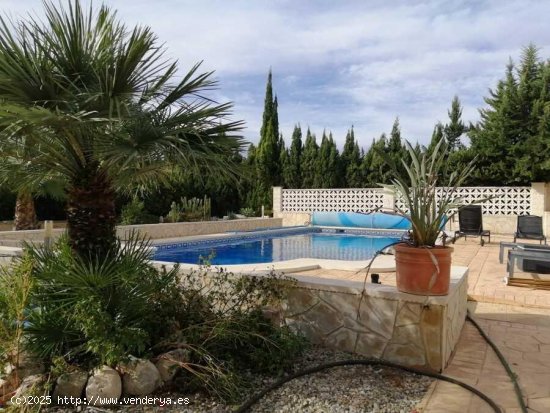 Finca en venta en Crevillent (Alicante)